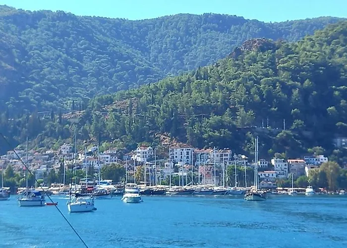Paddys Apartments, Hisarönü